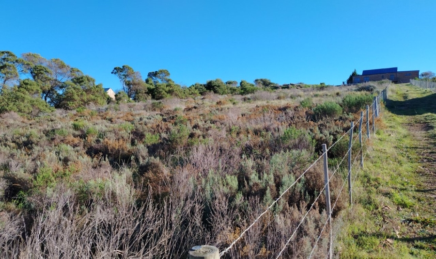 0 Bedroom Property for Sale in Baardskeerdersbos Western Cape